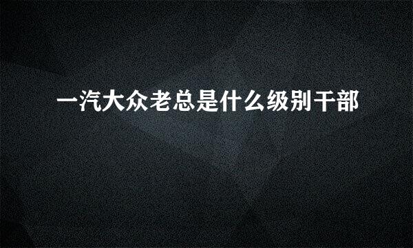 一汽大众老总是什么级别干部