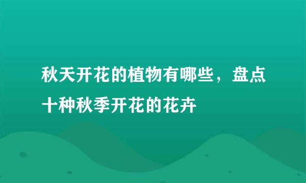 秋天开花的植物有哪些，盘点十种秋季开花的花卉