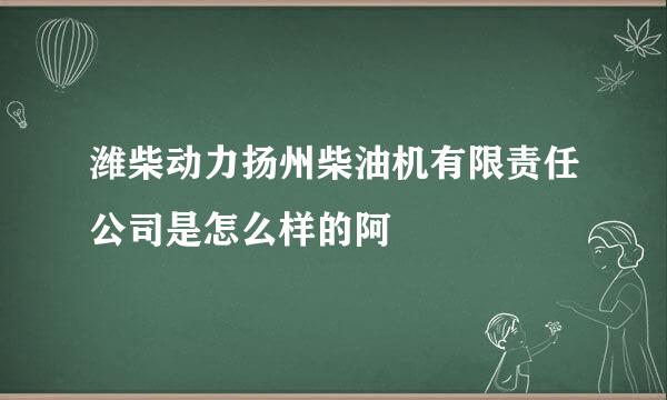 潍柴动力扬州柴油机有限责任公司是怎么样的阿