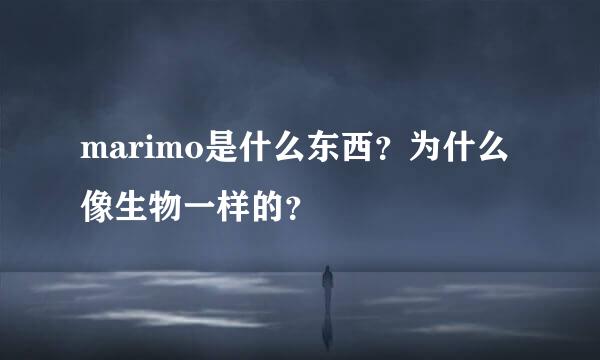 marimo是什么东西？为什么像生物一样的？