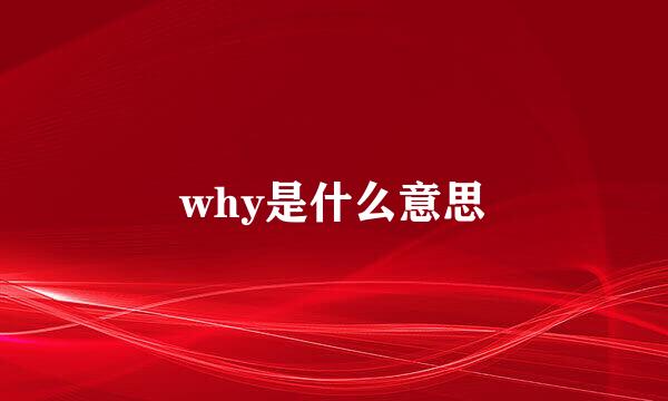 why是什么意思