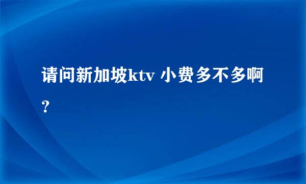 请问新加坡ktv 小费多不多啊？