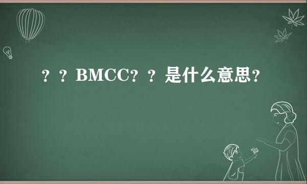 ？？BMCC？？是什么意思？