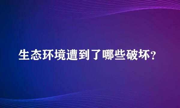 生态环境遭到了哪些破坏？