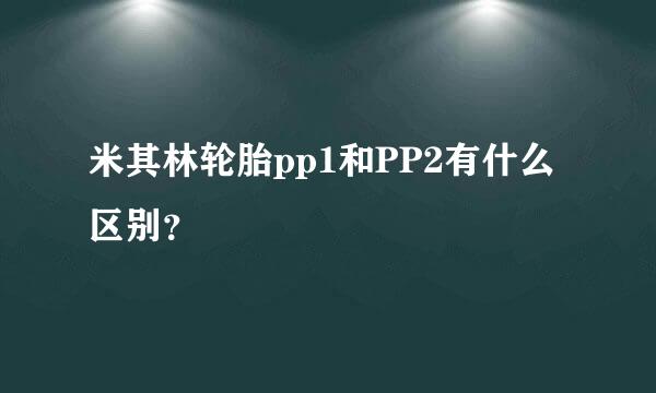 米其林轮胎pp1和PP2有什么区别？