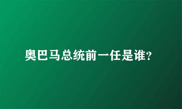 奥巴马总统前一任是谁？