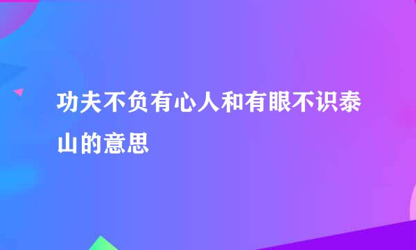 功夫不负有心人和有眼不识泰山的意思