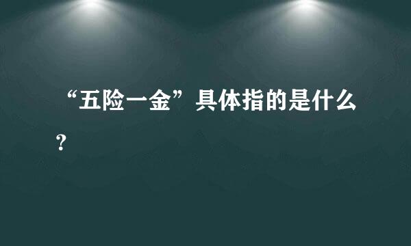 “五险一金”具体指的是什么？