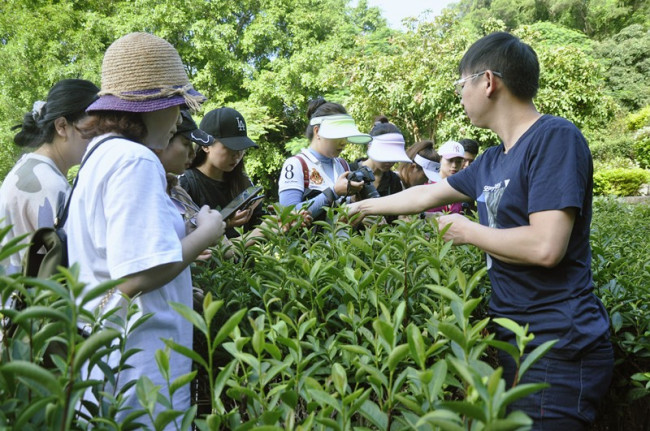 茶艺师资格证考试官网？