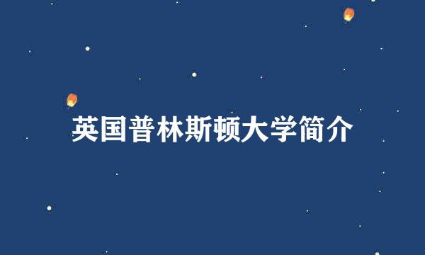 英国普林斯顿大学简介