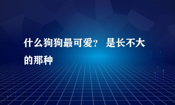 什么狗狗最可爱？ 是长不大的那种