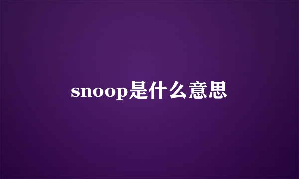 snoop是什么意思