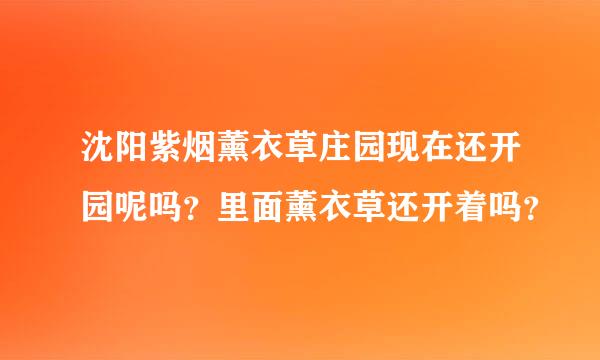 沈阳紫烟薰衣草庄园现在还开园呢吗？里面薰衣草还开着吗？