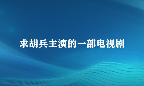 求胡兵主演的一部电视剧