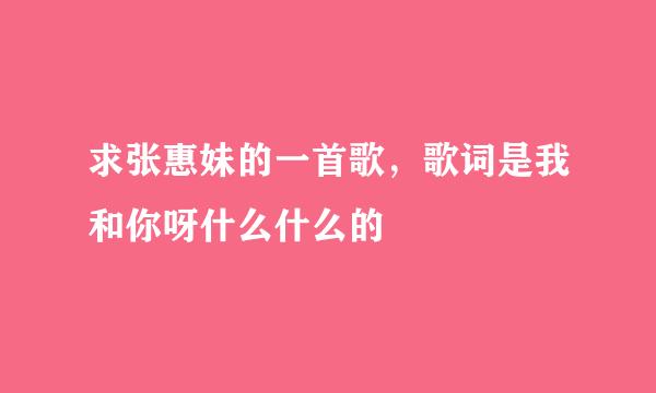 求张惠妹的一首歌，歌词是我和你呀什么什么的