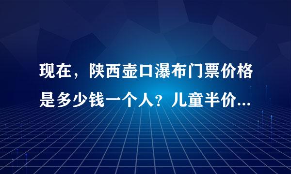 现在，陕西壶口瀑布门票价格是多少钱一个人？儿童半价吗？多少钱？