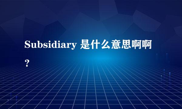 Subsidiary 是什么意思啊啊？