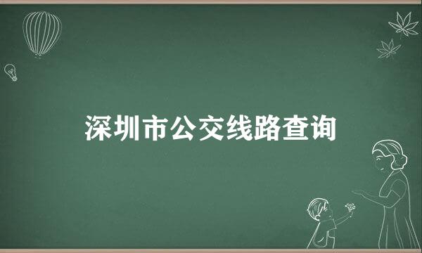 深圳市公交线路查询