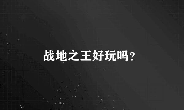 战地之王好玩吗？