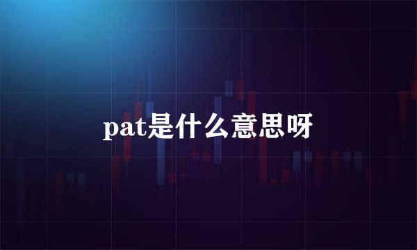 pat是什么意思呀