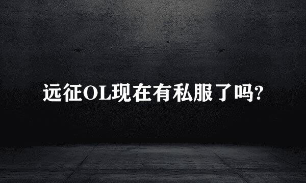 远征OL现在有私服了吗?