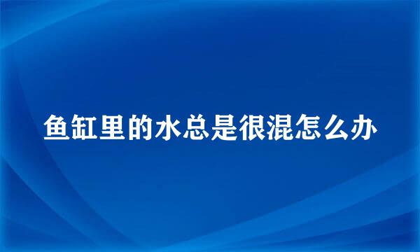 鱼缸里的水总是很混怎么办