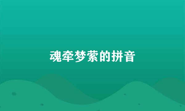 魂牵梦萦的拼音