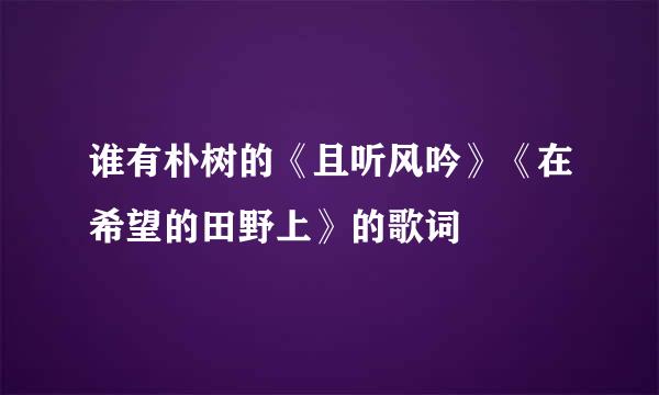 谁有朴树的《且听风吟》《在希望的田野上》的歌词