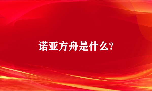 诺亚方舟是什么?