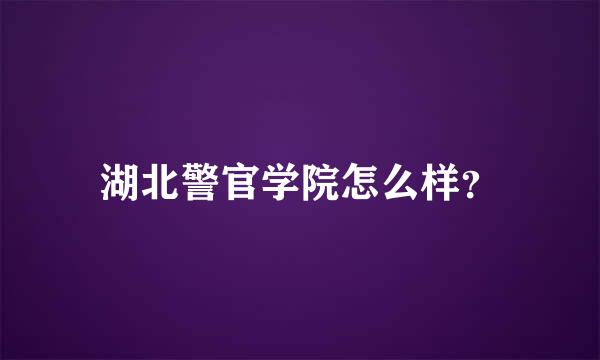 湖北警官学院怎么样？