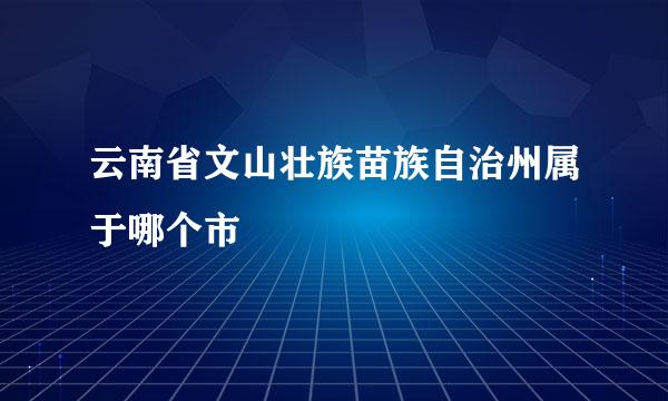 云南省文山壮族苗族自治州属于哪个市