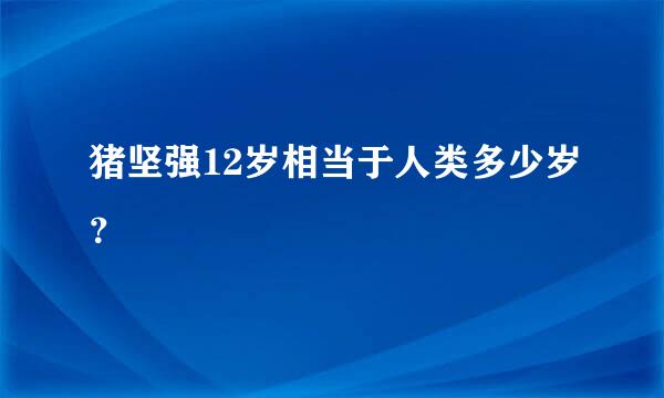 猪坚强12岁相当于人类多少岁？