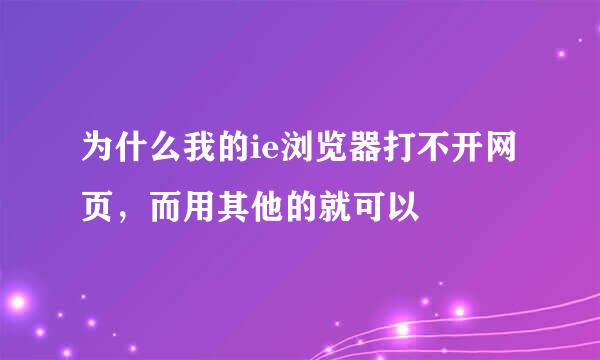 为什么我的ie浏览器打不开网页，而用其他的就可以