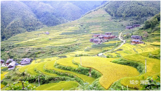 7月，8月份适合去哪里旅游好