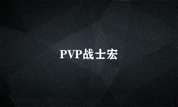 PVP战士宏