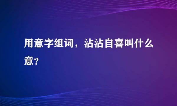 用意字组词，沾沾自喜叫什么意？