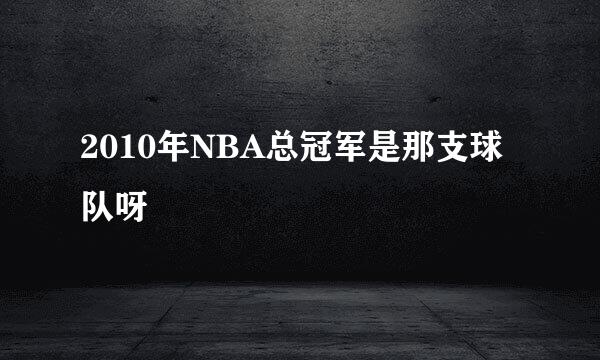 2010年NBA总冠军是那支球队呀