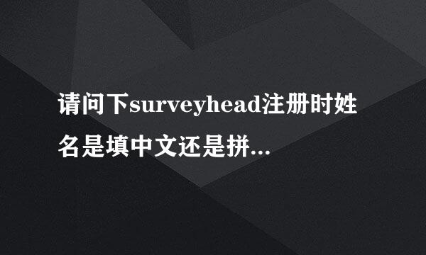 请问下surveyhead注册时姓名是填中文还是拼音啊？请收到款的说说呢。