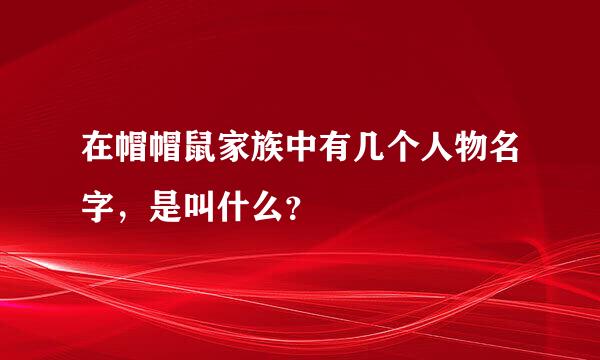 在帽帽鼠家族中有几个人物名字，是叫什么？