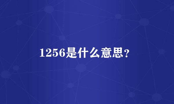 1256是什么意思？