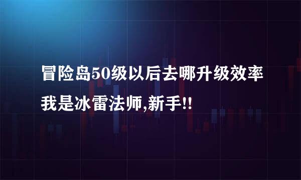 冒险岛50级以后去哪升级效率我是冰雷法师,新手!!