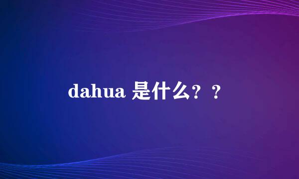 dahua 是什么？？