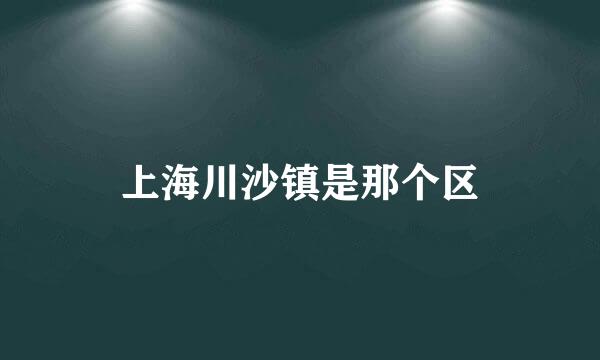 上海川沙镇是那个区