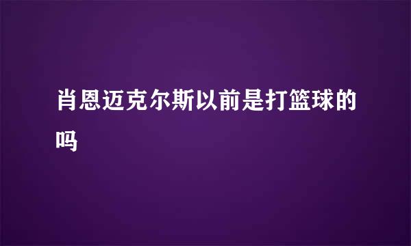 肖恩迈克尔斯以前是打篮球的吗