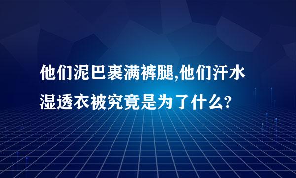 他们泥巴裹满裤腿,他们汗水湿透衣被究竟是为了什么?