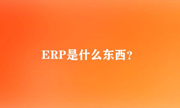 ERP是什么东西？