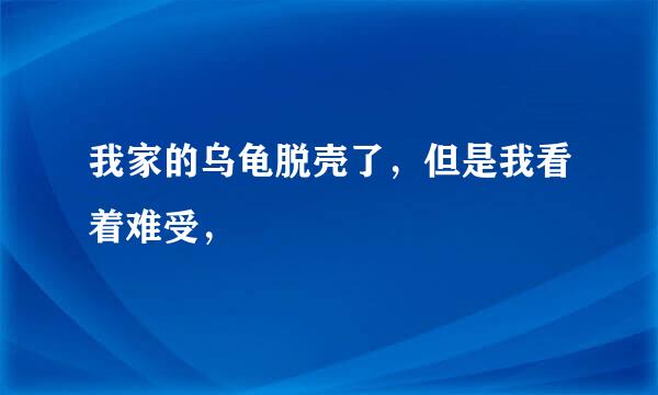 我家的乌龟脱壳了，但是我看着难受，