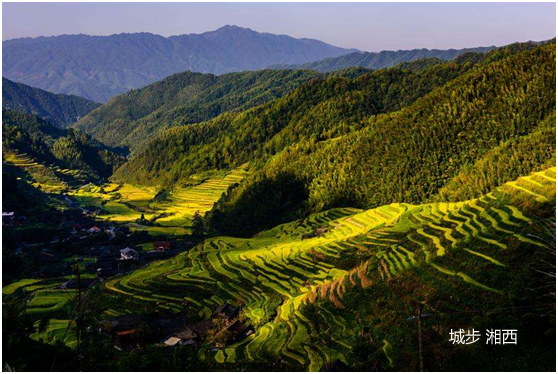 7月，8月份适合去哪里旅游好