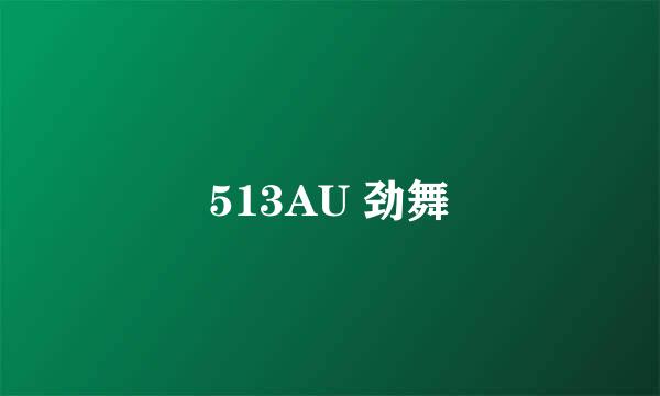 513AU 劲舞