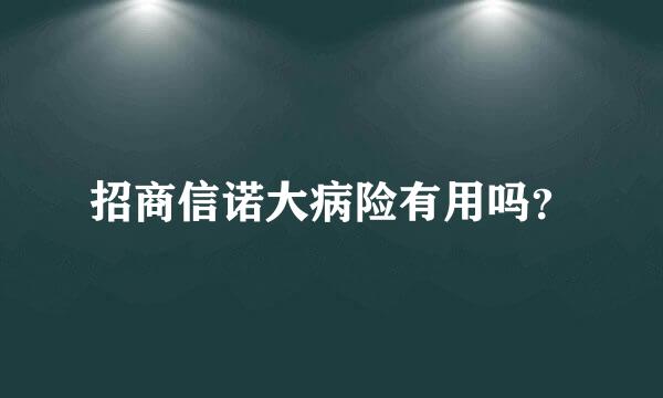 招商信诺大病险有用吗？